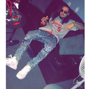 Meet your Posher, Snoopy